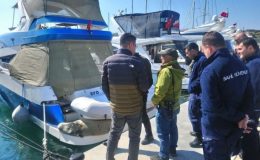Nesli tükenme tehlikesi altında: Akdeniz foku tekneye sığındı