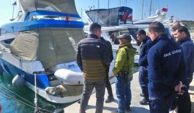 Nesli tükenme tehlikesi altında: Akdeniz foku tekneye sığındı