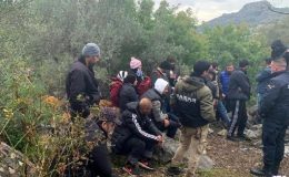 Göçmenler ‘Yunanistan’ diye Küçükada’ya bırakıldı