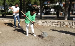 Didim Belediyesi Uslu Sitesi Sahili’nde Temizlik Çalışması Gerçekleştirdi