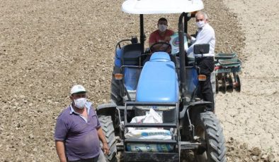 Aydın’da pamuk üreticisi üçlü kıskaçta