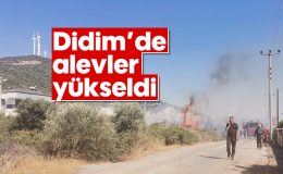 Didim’de alevler yükseldi