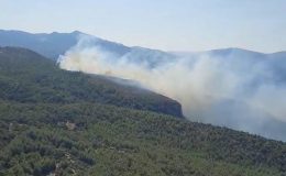 Milas’ta orman yangını! Ekipler müdahale ediyor