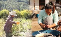 Muğla’nın Taylandlı gelini: Ayşe! Aşkı seçip köye yerleşti