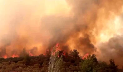 Muğla’da çıkan orman yangınları köyleri tehdit ediyor