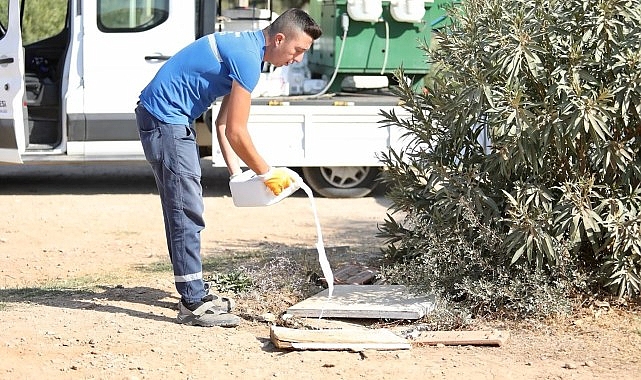 Didim’de ilaçlama çalışmaları aralıksız devam ediyor