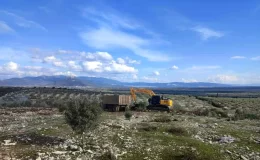 Didim’de hazine arazisinde kazı yapanlar yakalandı