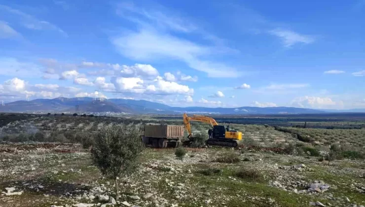 Didim’de hazine arazisinde kazı yapanlar yakalandı