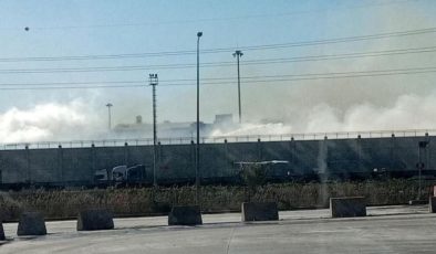 Günlerce yanmıştı: Söke Batı Kipaş’ta yeniden yangın çıktı