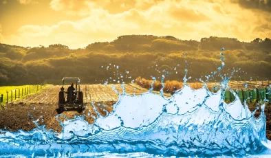 Aydın’da tarım alanlarının yüzde 50’sine su verilmeyeceği açıklandı