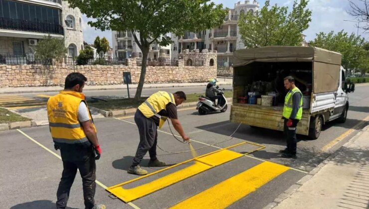 Didim’de büyükşehir belediyesi çevre düzenleme çalışmalarını sürdürüyor