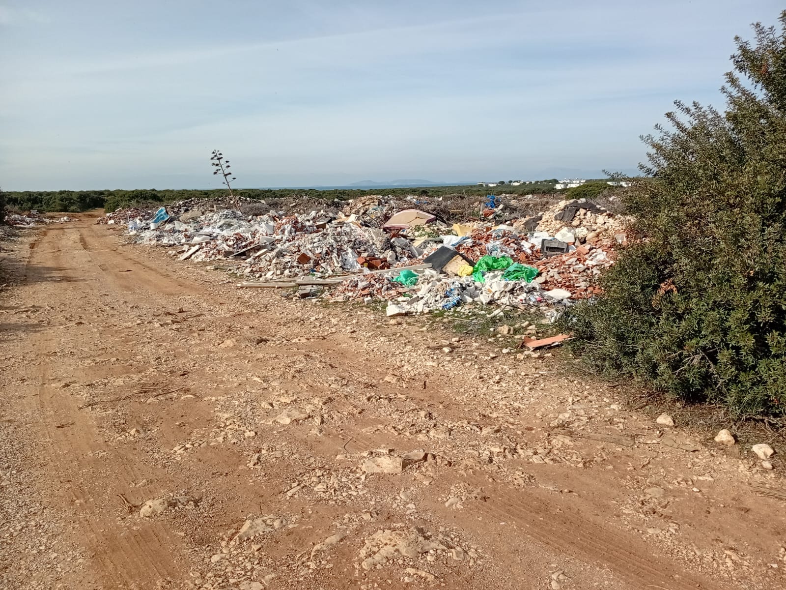 Didimdeki Cevre Kirliligi Pes Dedirtiyor 620887 B317807Ba7998Eb2E26Dd998785B753D