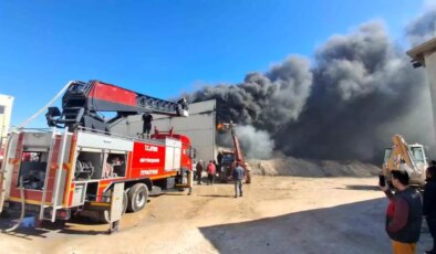 Didim’de inşaat malzemeleri deposunda yangın