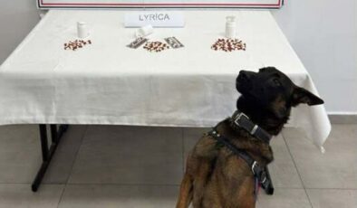 Aydın’da uyuşturucu operasyonu: 10 tutuklama