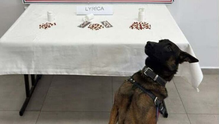 Aydın’da uyuşturucu operasyonu: 10 tutuklama