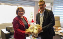 Didim’de yeni ulaşım hattı gündemde