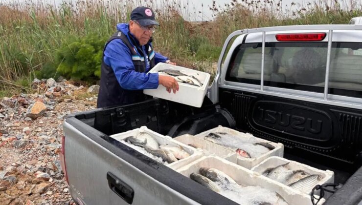 Milas’ta 80 kilo kefal balığına el konuldu