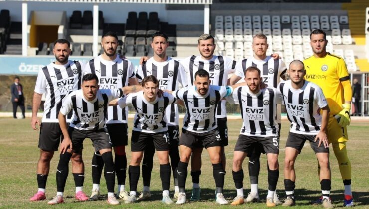 ‘Ada’nın 90 yıllık çınarı küme düştü