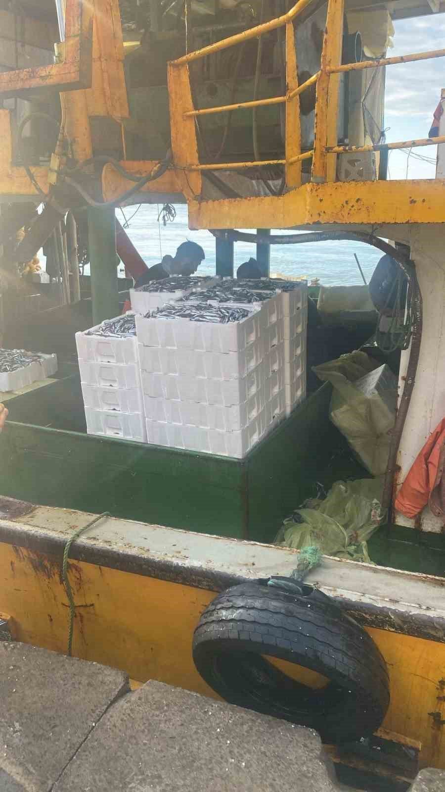 Hamsi Kotasi Icin Didimde Denetim Yapildi 2C0Fade8Cf3224B0Aef124C82Bbaf4C9