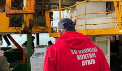Didim’de hamsi kotası için denetim yapıldı