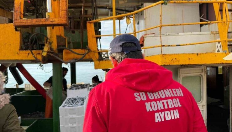 Didim’de hamsi kotası için denetim yapıldı