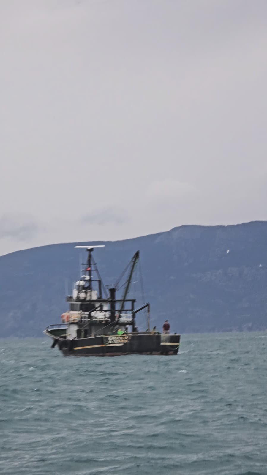 Didimde Kacak Avciliga Darbe Milli Park Sinirinda Nokta Operasyon Ozel 653151 C62C5560Fc48C8871A4009C99A146Bcd