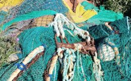 Didim’de kaçak avcılığa darbe: Milli Park sınırında nokta operasyon