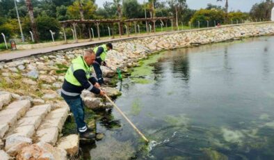 Didim’de temizlik ve düzenleme çalışmaları sürüyor