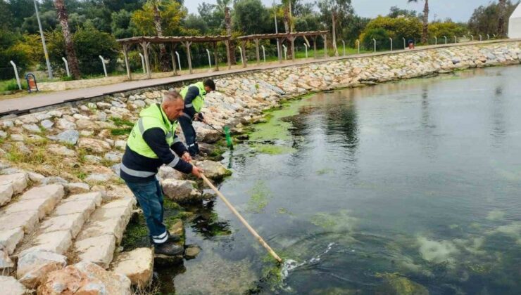 Didim’de temizlik ve düzenleme çalışmaları sürüyor