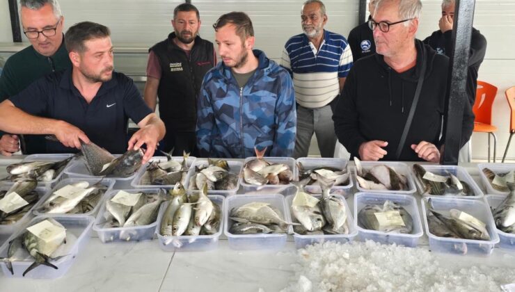 Didim’de balık mezatı yeniden başladı